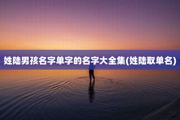 姓陆男孩名字单字的名字大全集(姓陆取单名)
