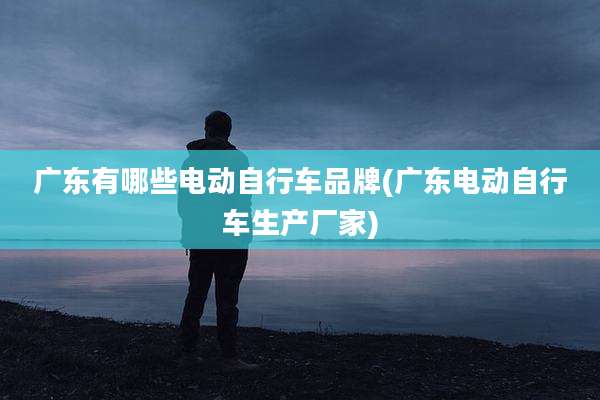 广东有哪些电动自行车品牌(广东电动自行车生产厂家)