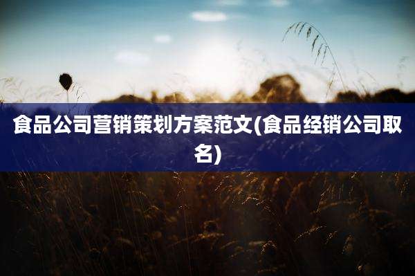 食品公司营销策划方案范文(食品经销公司取名)
