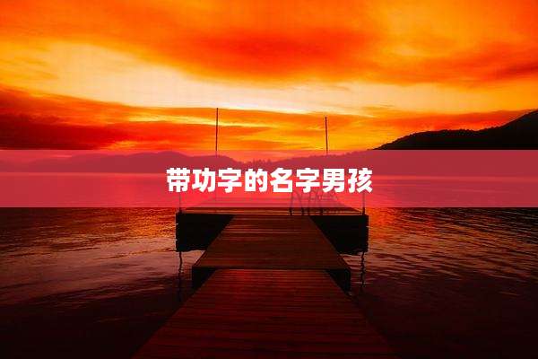 带功字的名字男孩