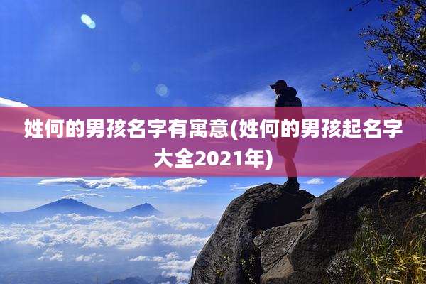 姓何的男孩名字有寓意(姓何的男孩起名字大全2021年)