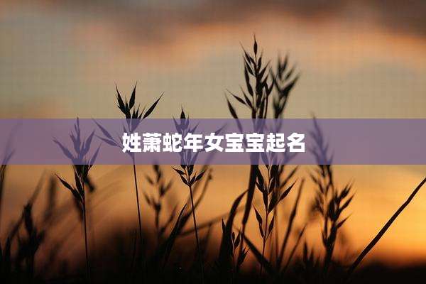 姓萧蛇年女宝宝起名