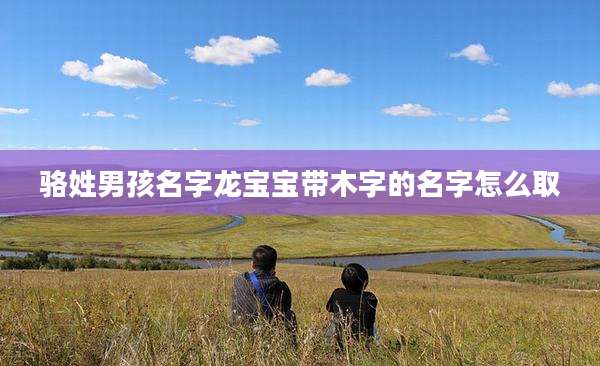 骆姓男孩名字龙宝宝带木字的名字怎么取