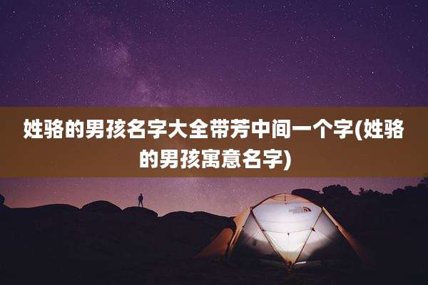 姓骆的男孩名字大全带芳中间一个字(姓骆的男孩寓意名字)