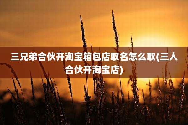 三兄弟合伙开淘宝箱包店取名怎么取(三人合伙开淘宝店)