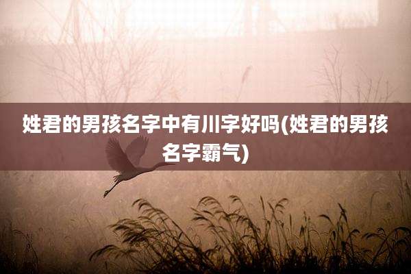 姓君的男孩名字中有川字好吗(姓君的男孩名字霸气)