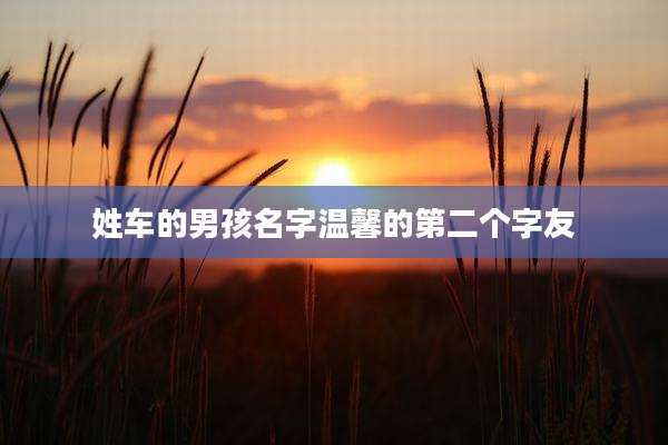 姓车的男孩名字温馨的第二个字友