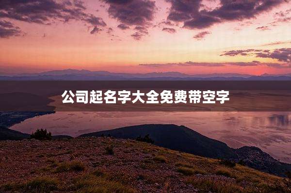公司起名字大全免费带空字