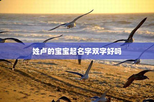 姓卢的宝宝起名字双字好吗
