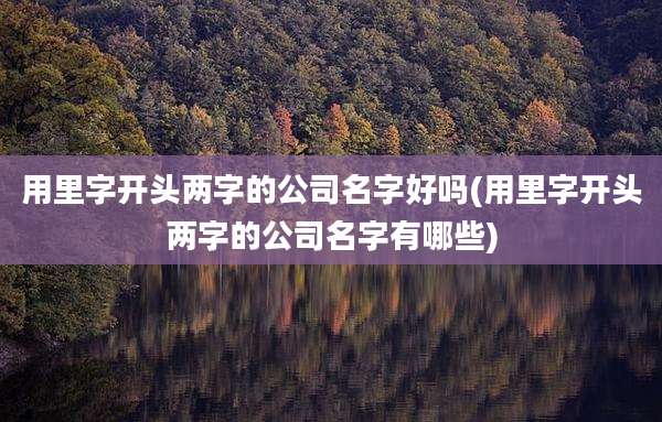 用里字开头两字的公司名字好吗(用里字开头两字的公司名字有哪些)