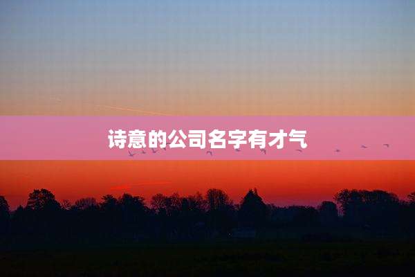 诗意的公司名字有才气