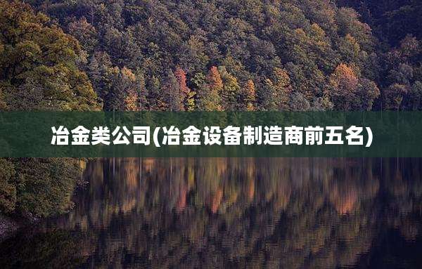 冶金类公司(冶金设备制造商前五名)