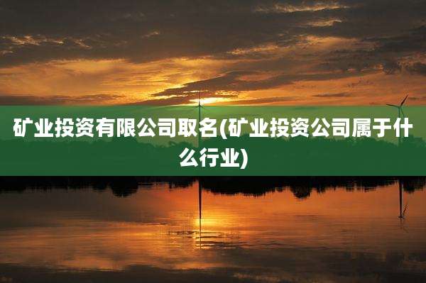 矿业投资有限公司取名(矿业投资公司属于什么行业)