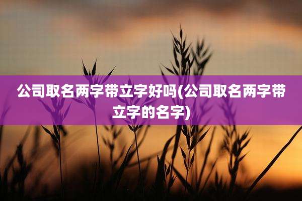 公司取名两字带立字好吗(公司取名两字带立字的名字)