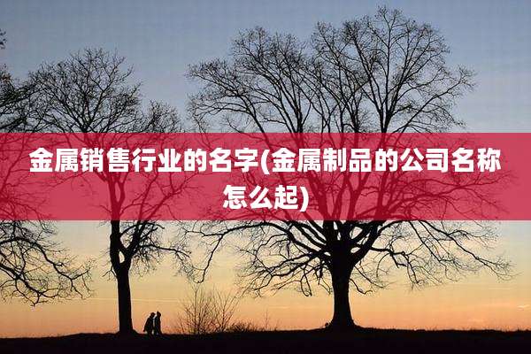 金属销售行业的名字(金属制品的公司名称怎么起)