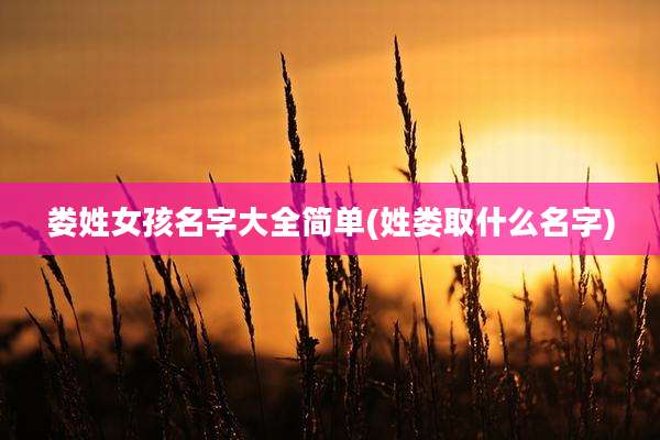 娄姓女孩名字大全简单(姓娄取什么名字)