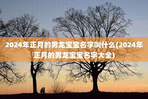 2024年正月的男龙宝宝名字叫什么(2024年正月的男龙宝宝名字大全)