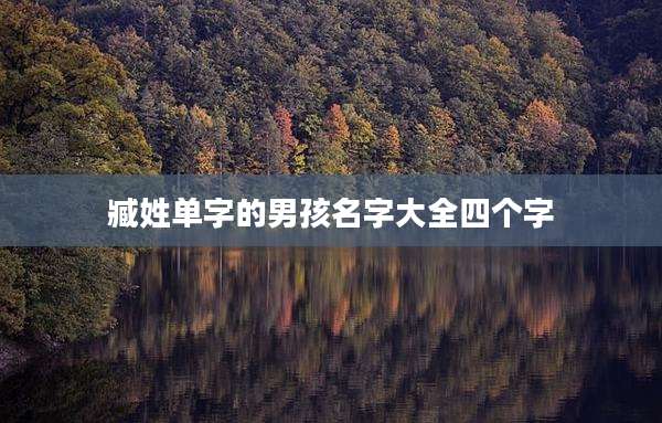 臧姓单字的男孩名字大全四个字