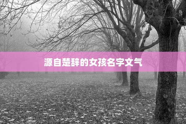 源自楚辞的女孩名字文气