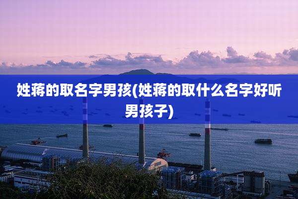 姓蒋的取名字男孩(姓蒋的取什么名字好听男孩子)