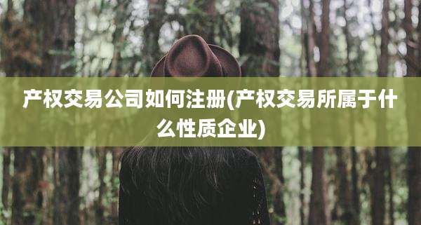 产权交易公司如何注册(产权交易所属于什么性质企业)