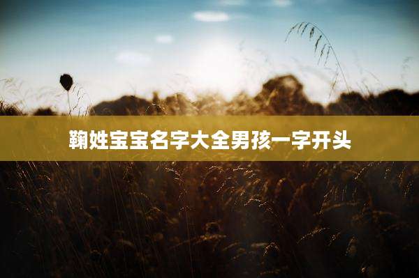 鞠姓宝宝名字大全男孩一字开头