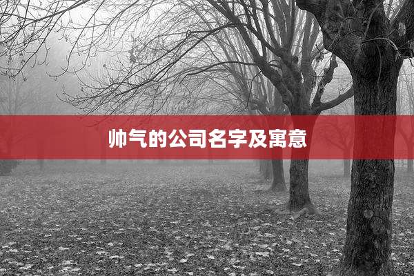 帅气的公司名字及寓意