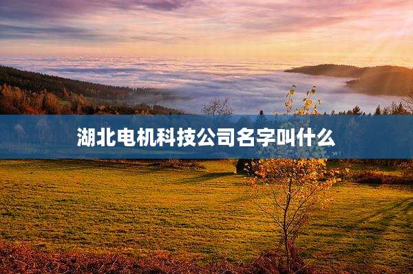 湖北电机科技公司名字叫什么