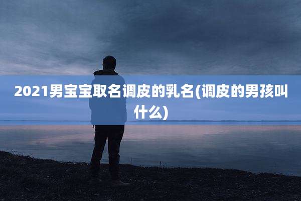 2021男宝宝取名调皮的乳名(调皮的男孩叫什么)