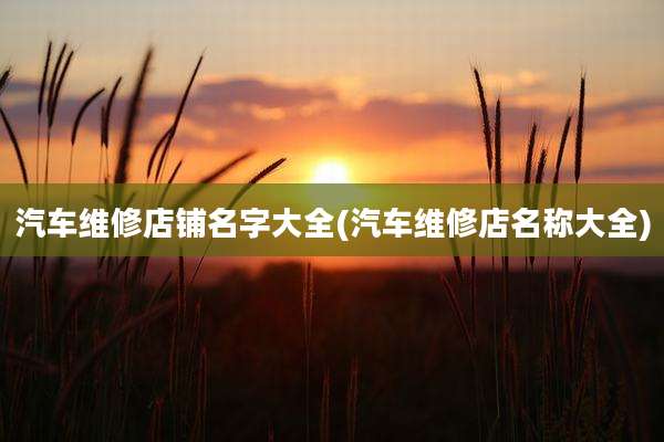 汽车维修店铺名字大全(汽车维修店名称大全)