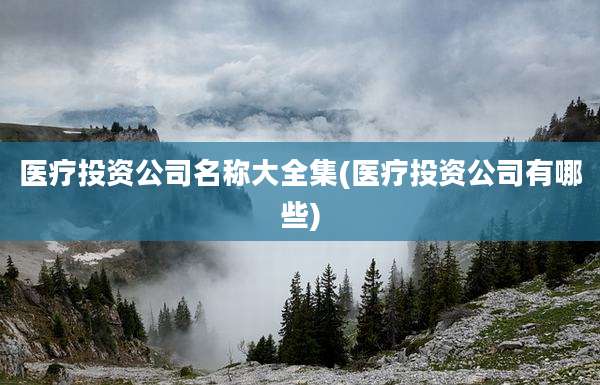 医疗投资公司名称大全集(医疗投资公司有哪些)