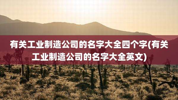有关工业制造公司的名字大全四个字(有关工业制造公司的名字大全英文)