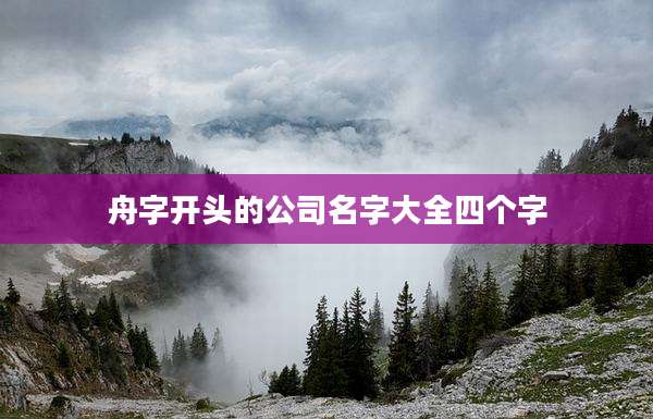 舟字开头的公司名字大全四个字
