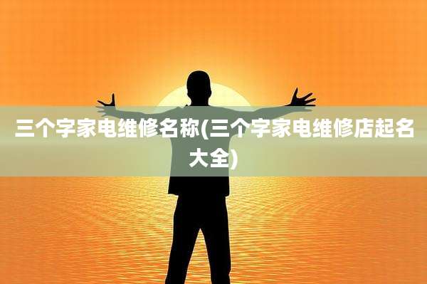 三个字家电维修名称(三个字家电维修店起名大全)