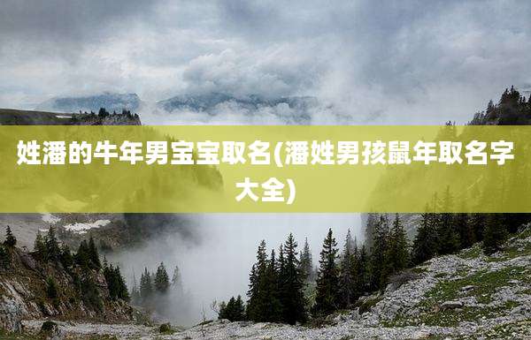 姓潘的牛年男宝宝取名(潘姓男孩鼠年取名字大全)