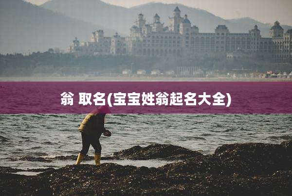 翁 取名(宝宝姓翁起名大全)