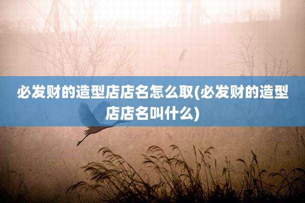 必发财的造型店店名怎么取(必发财的造型店店名叫什么)