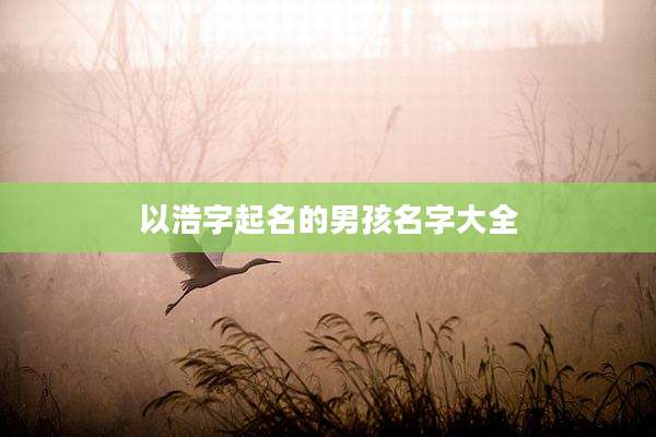 以浩字起名的男孩名字大全