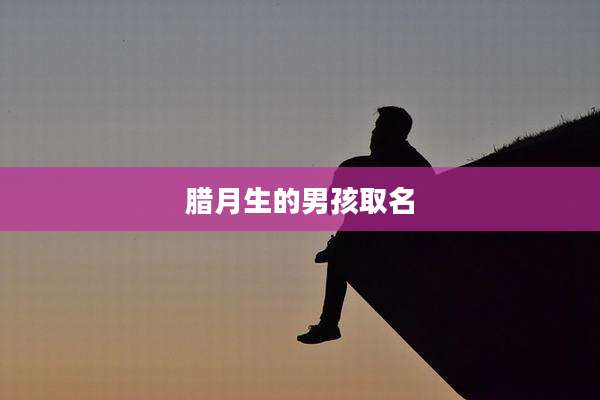 腊月生的男孩取名