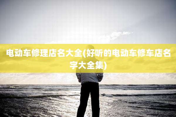 电动车修理店名大全(好听的电动车修车店名字大全集)