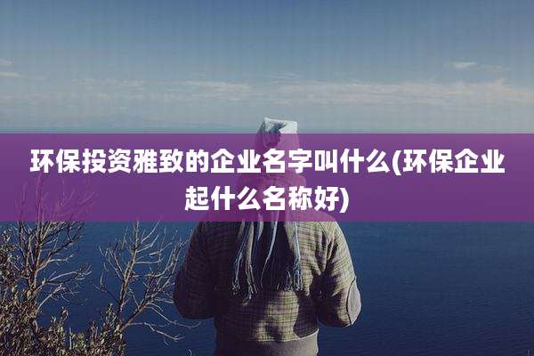 环保投资雅致的企业名字叫什么(环保企业起什么名称好)