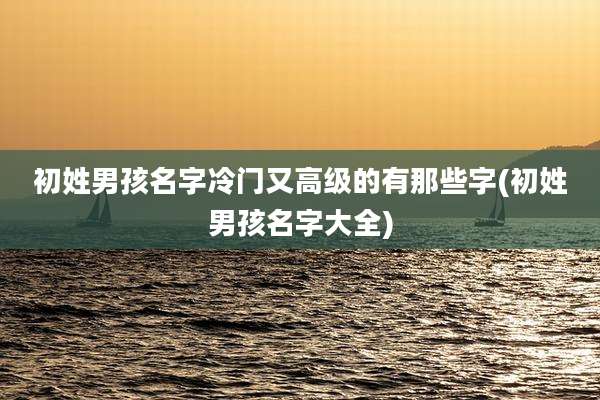 初姓男孩名字冷门又高级的有那些字(初姓男孩名字大全)