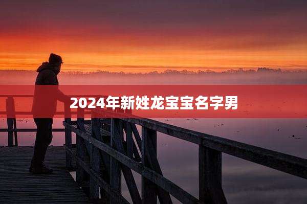 2024年新姓龙宝宝名字男