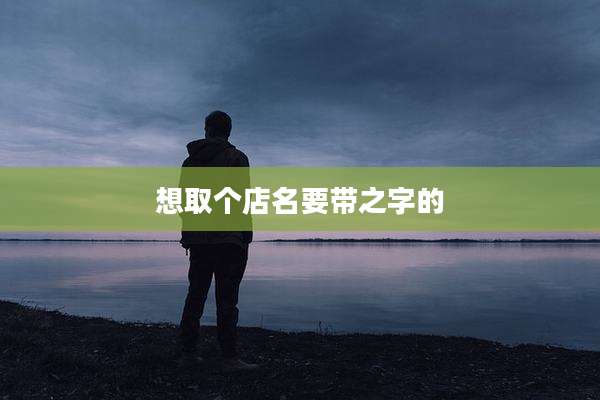想取个店名要带之字的