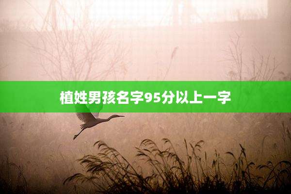 植姓男孩名字95分以上一字