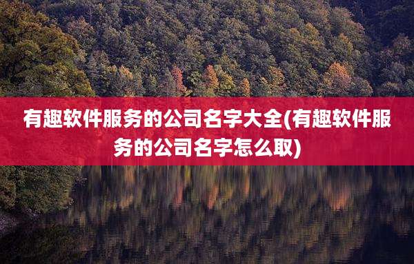 有趣软件服务的公司名字大全(有趣软件服务的公司名字怎么取)