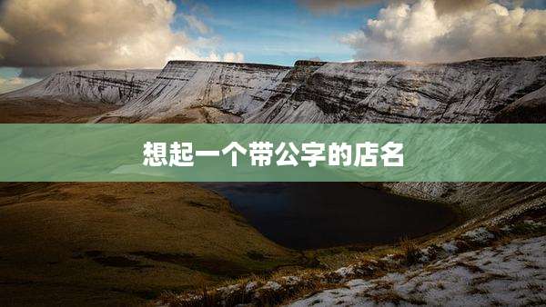 想起一个带公字的店名