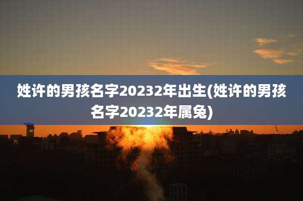 姓许的男孩名字20232年出生(姓许的男孩名字20232年属兔)