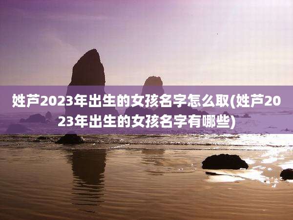 姓芦2023年出生的女孩名字怎么取(姓芦2023年出生的女孩名字有哪些)