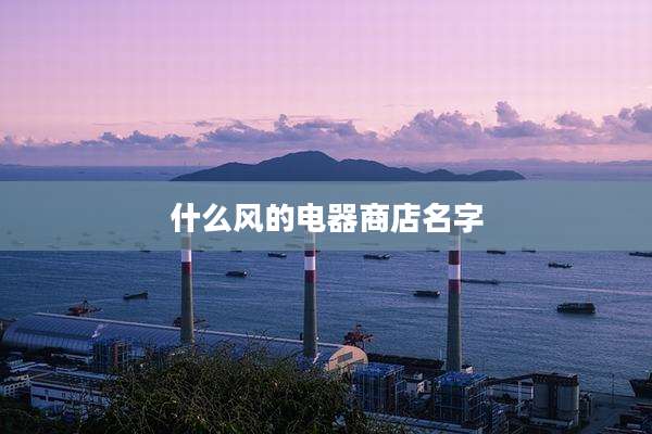 什么风的电器商店名字